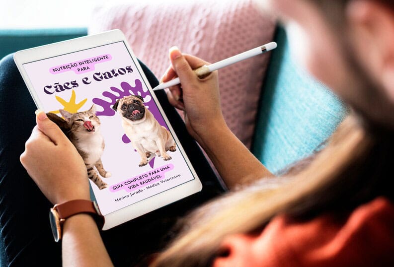 foto do ebook na tela do tablet